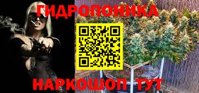 Альфа ПВП Краснознаменск