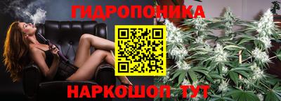 Альфа ПВП Краснознаменск