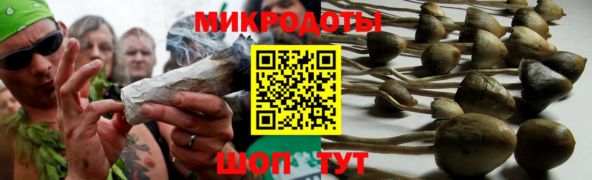 Галлюциногенные грибы мицелий Калач-на-Дону